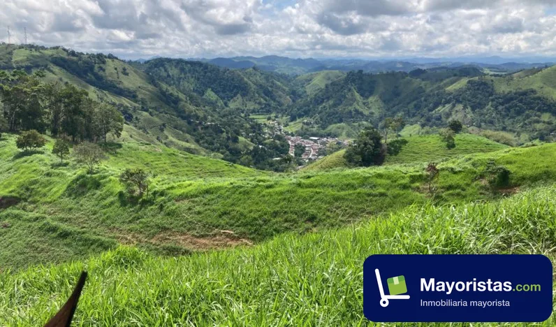 Finca ganadera de 50 ha en Caracolí, Antioquia