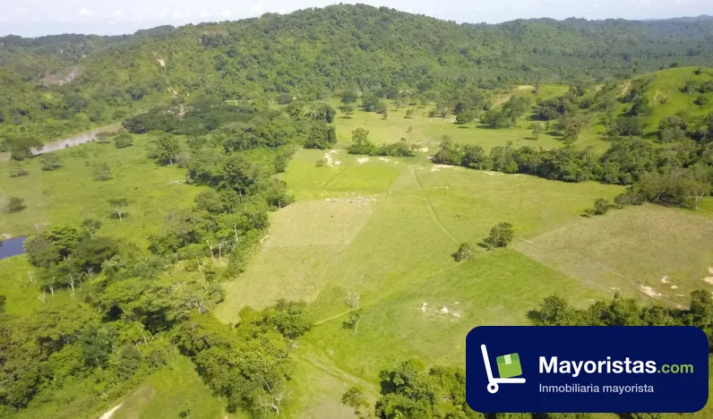 Finca ganadera de 373 ha en Rionegro, Santander