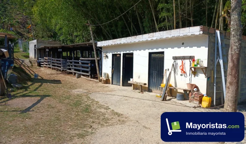 Lote de 1,2 ha en Betania, Antioquia — foto 10 de 10