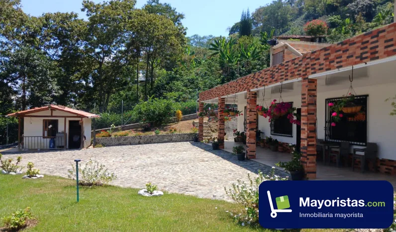 Lote de 1,2 ha en Betania, Antioquia — foto 9 de 10