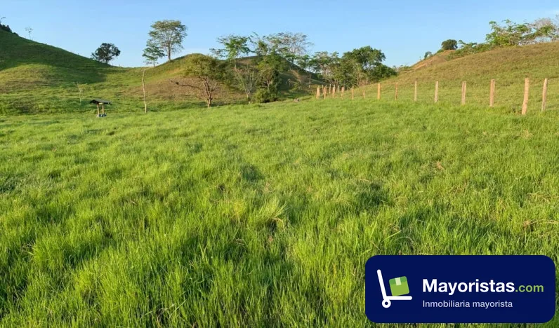 Finca ganadera de 194 ha en Puerto Boyacá, Boyacá