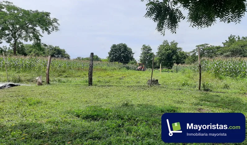 Finca ganadera de 14,6 ha en Suán, Atlántico