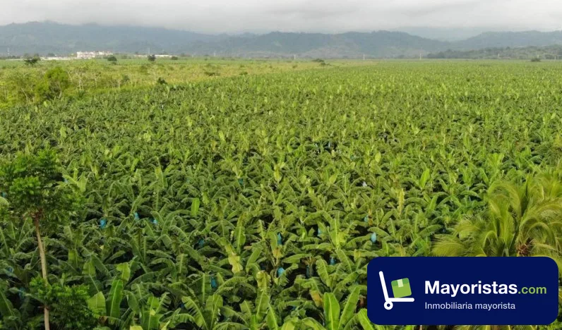 Finca agrícola de 44 ha en Apartadó, Antioquia