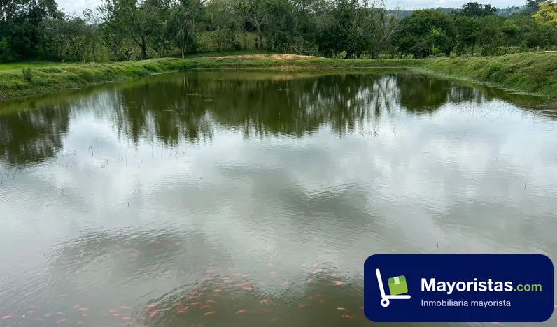 Finca agrícola de 2,2 ha en Valencia, Córdoba