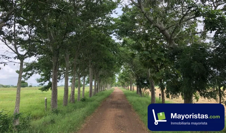 Finca ganadera de 640 ha en Ponedera, Atlántico