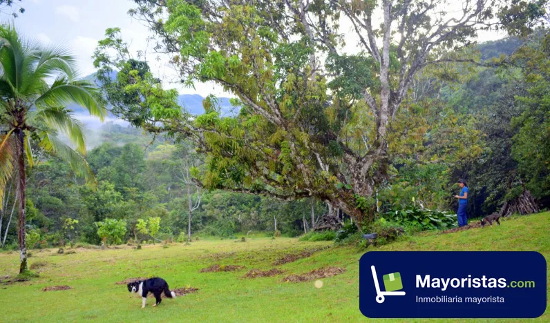 Finca agrícola de 27 ha en San Luis, Antioquia