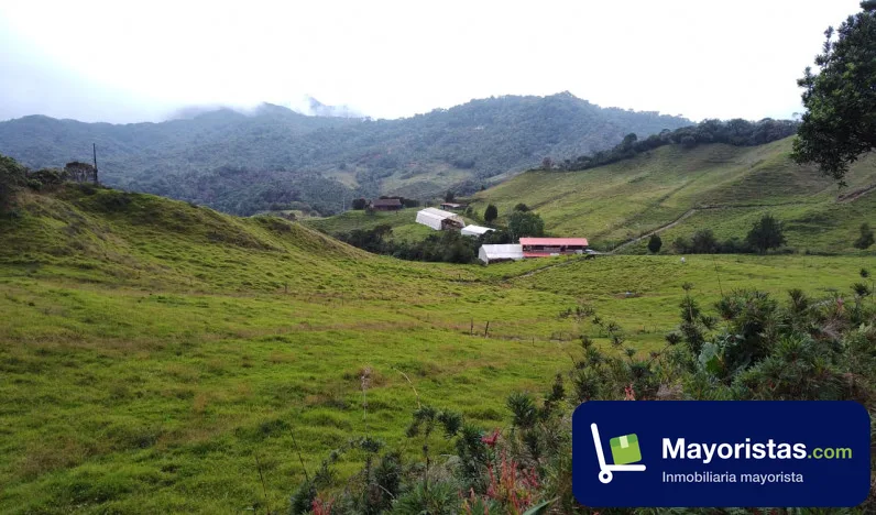 Finca ganadera de 16,4 ha en Abejorral, Antioquia