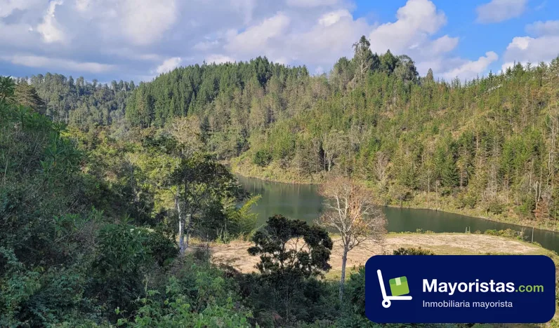 Lote de 2,8 ha en El Peñol, Antioquia