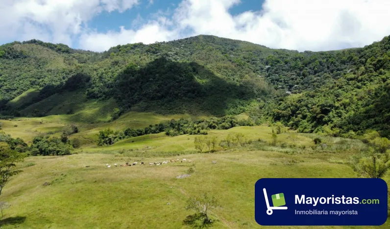 Finca ganadera de 55 ha en Jericó, Antioquia