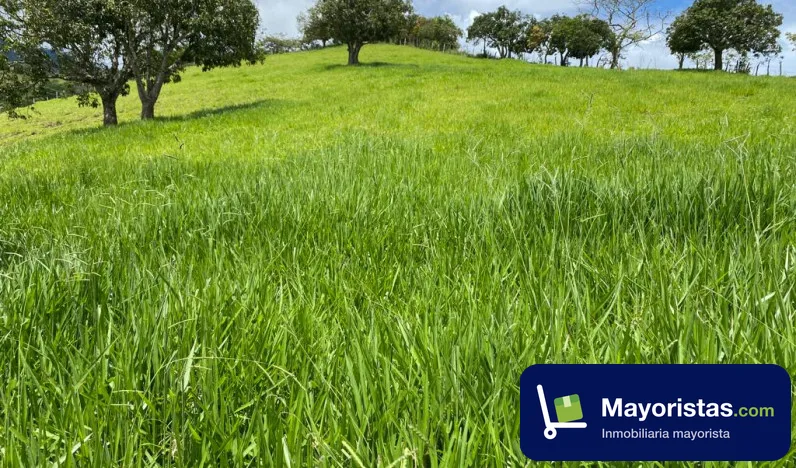 Finca ganadera de 15 ha en Ebéjico, Antioquia