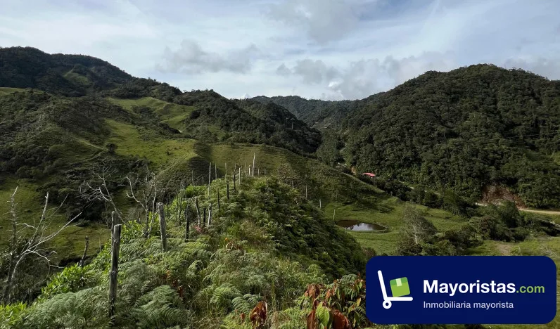 Lote de 9,2 ha en El Carmen de Viboral, Antioquia