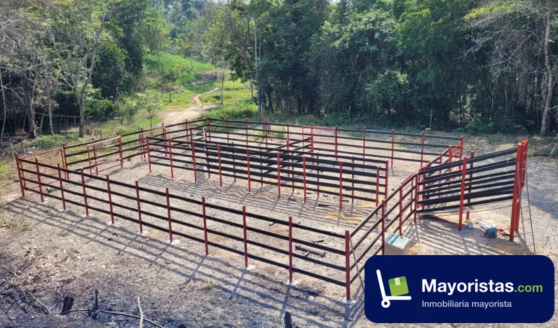 Finca ganadera de 130 ha en Barrancabermeja, Santander — foto 10 de 10