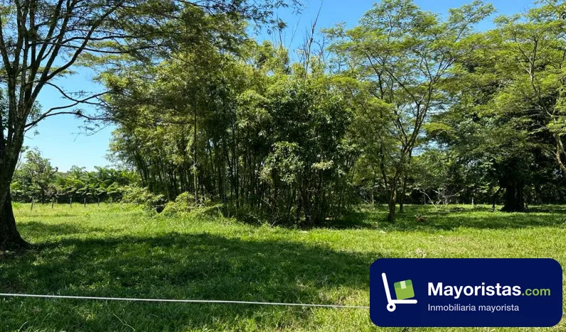 Finca ganadera de 4 ha en Cumaral, Meta
