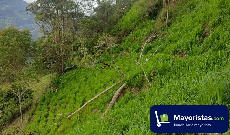 Finca ganadera de 2 ha en Junín, Cundinamarca