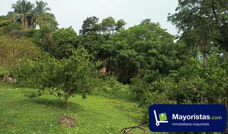 Finca agrícola de 3,4 ha en Melgar, Tolima