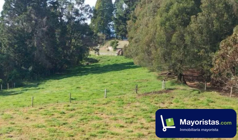 Finca ganadera de 15,9 ha en Guarne, Antioquia