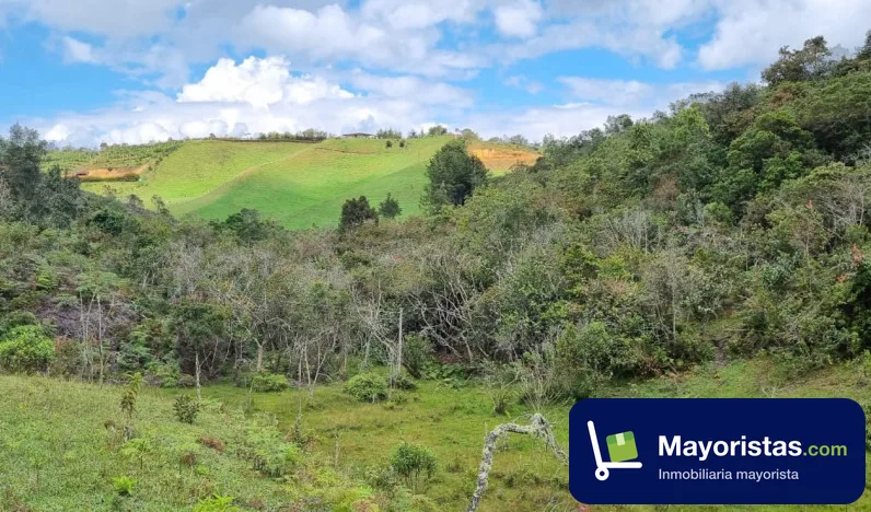 Finca agrícola de 15,5 ha en San Vicente, Antioquia