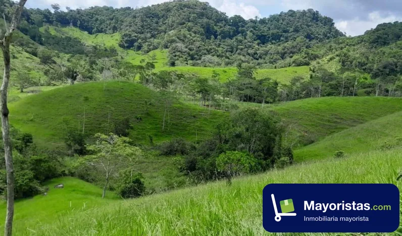 Finca ganadera de 192 ha en Vegachí, Antioquia