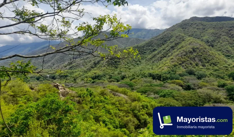 Finca agrícola de 300 ha en Olaya, Antioquia