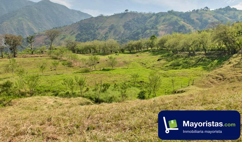 Lote de 5 ha en Venecia, Antioquia