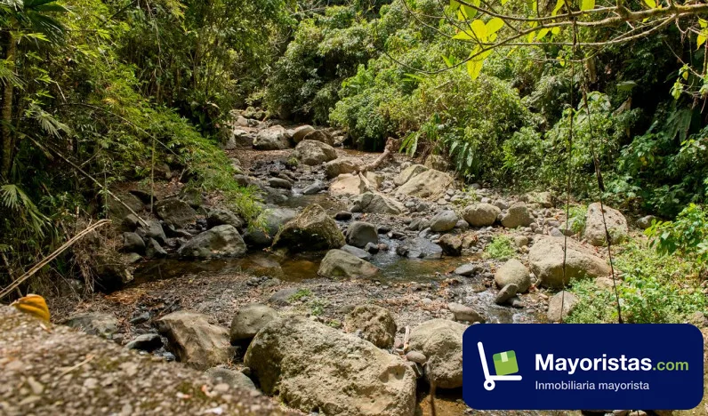 Lote de 5 ha en Venecia, Antioquia — foto 10 de 10