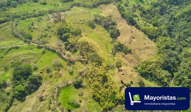 Lote de 5 ha en Venecia, Antioquia — foto 9 de 10