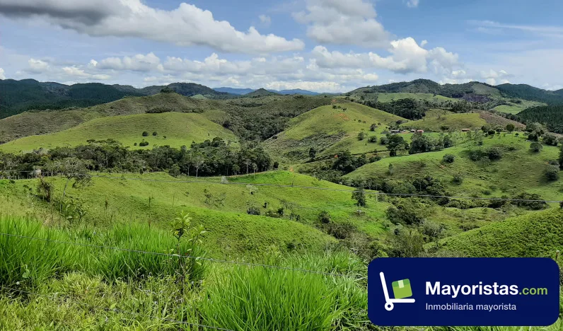 Finca ganadera de 220 ha en Vegachí, Antioquia