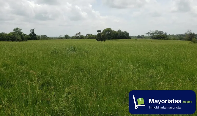 Finca ganadera de 57 ha en Buenavista, Córdoba — foto 10 de 10