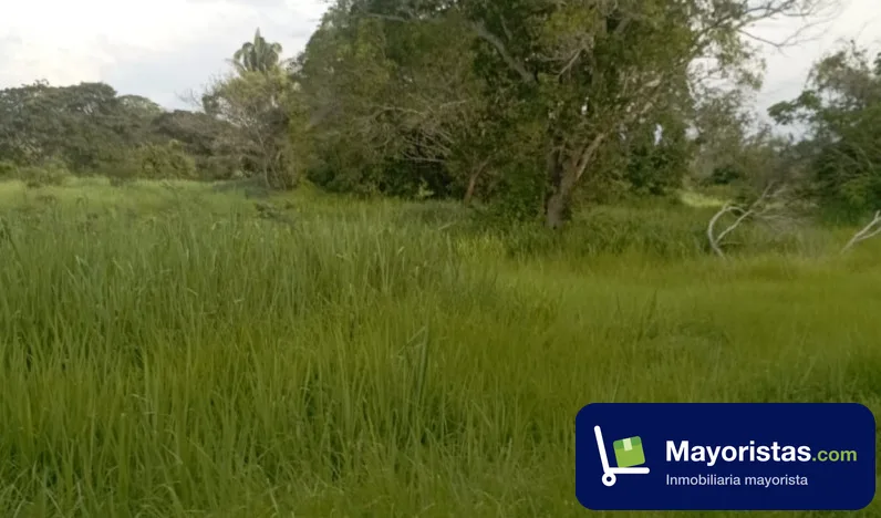 Finca ganadera de 340 ha en Algarrobo, Magdalena — foto 9 de 10