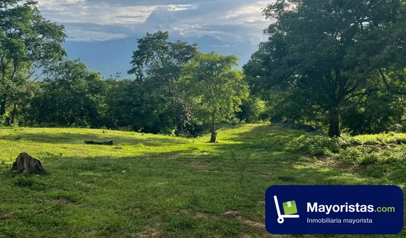 Finca ganadera de 184 ha en Liborina, Antioquia