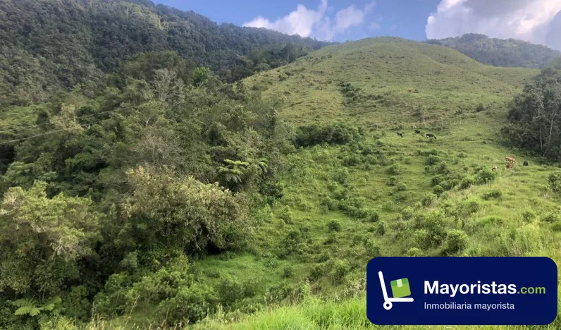 Finca ganadera de 47 ha en Herveo, Tolima