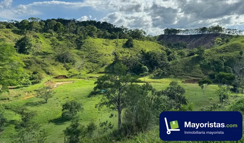 Finca ganadera de 260 ha en Remedios, Antioquia