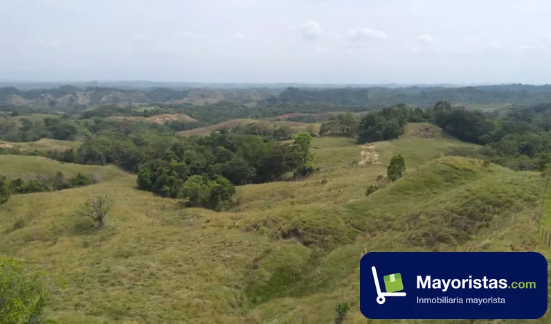 Finca ganadera de 101,2 ha en Puerto Triunfo, Antioquia