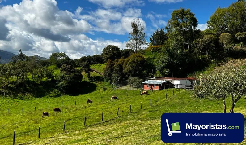Finca ganadera de 4,5 ha en Guateque, Boyacá