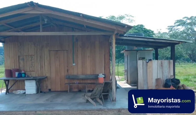 Finca ganadera de 66 ha en Puerto Boyacá, Boyacá — foto 10 de 10