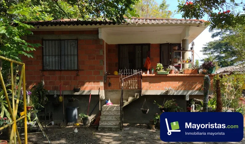 Finca agrícola de 5 ha en Roldanillo, Valle del Cauca — foto 9 de 9