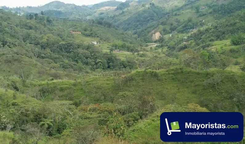 Finca ganadera de 40 ha en Santo Domingo, Antioquia