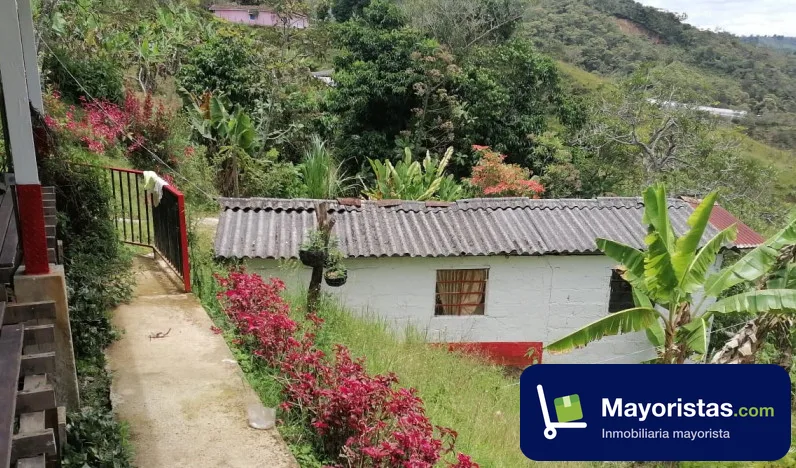 Finca ganadera de 40 ha en Santo Domingo, Antioquia — foto 9 de 9
