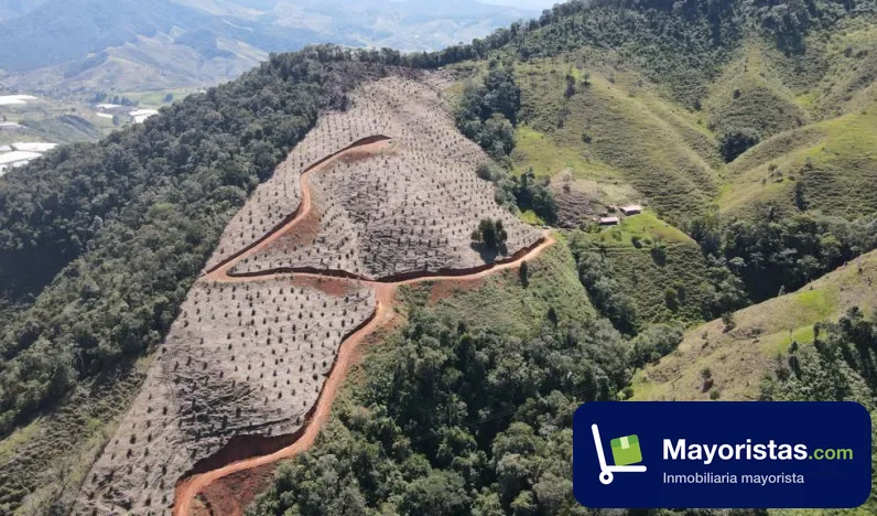 Finca ganadera de 48 ha en Urrao, Antioquia