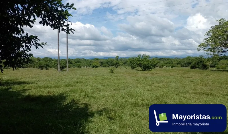 Finca ganadera de 410 ha en Puerto Salgar, Cundinamarca