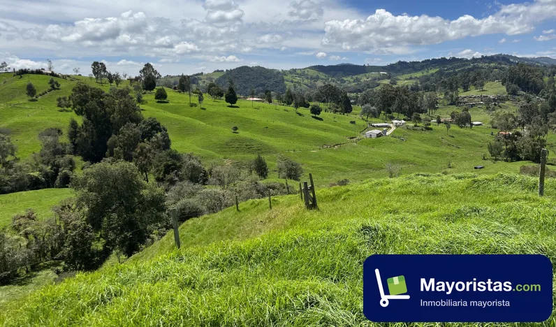 Finca ganadera de 32 ha en San Pedro de Los Milagros, Antioquia