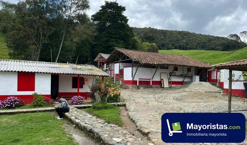 Finca ganadera de 32 ha en San Pedro de Los Milagros, Antioquia — foto 9 de 10