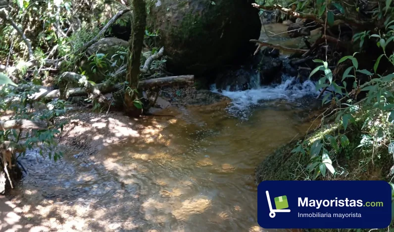 Finca agrícola de 130 ha en Granada, Antioquia