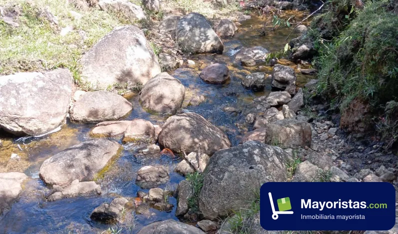 Finca agrícola de 130 ha en Granada, Antioquia — foto 10 de 10