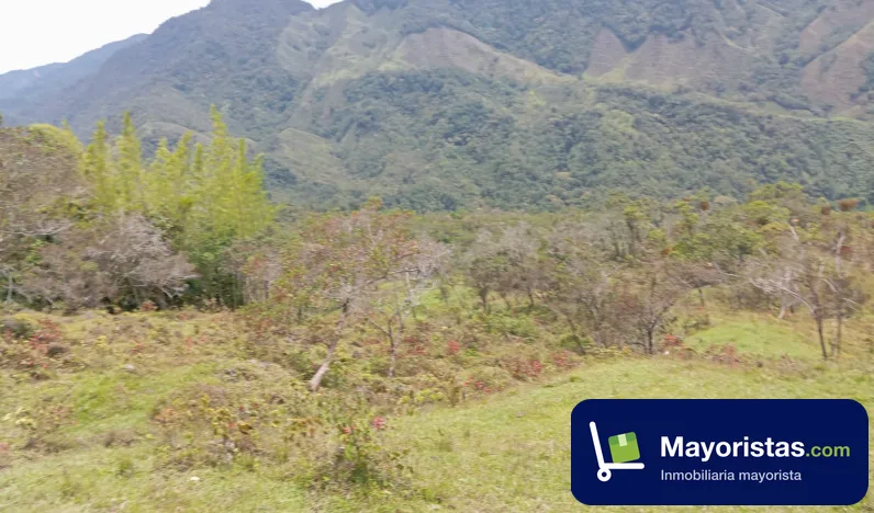 Finca agrícola de 150 ha en Granada, Antioquia — foto 9 de 10
