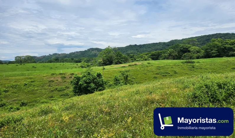 Finca ganadera de 150 ha en Tibú, Norte de Santander