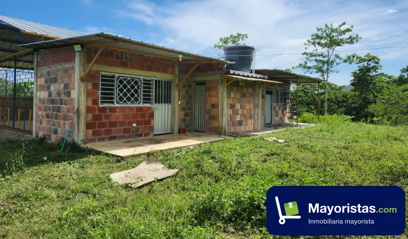 Finca ganadera de 150 ha en Tibú, Norte de Santander — foto 10 de 10