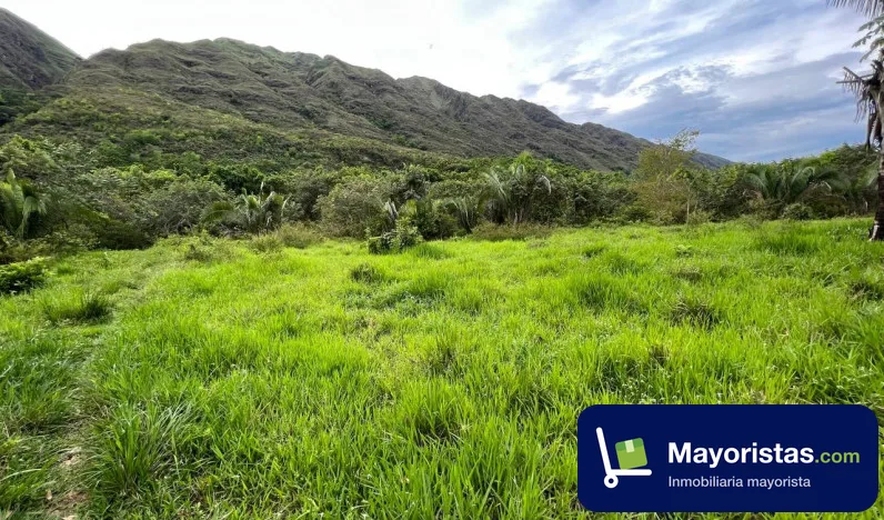 Finca ganadera de 600 ha en Carmen de Apicalá, Tolima