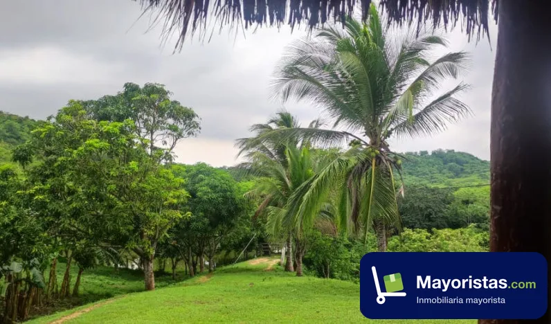 Finca ganadera de 70 ha en Baranoa, Atlántico
