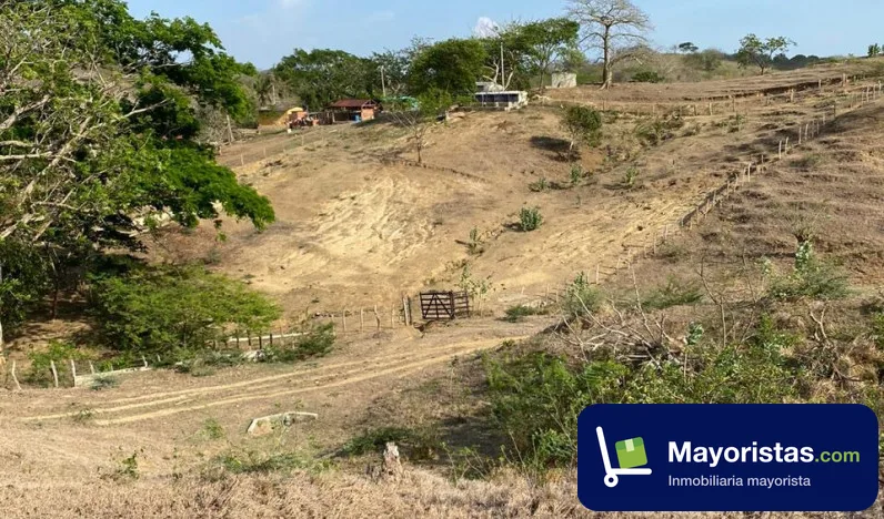 Finca ganadera de 70 ha en Baranoa, Atlántico — foto 9 de 10